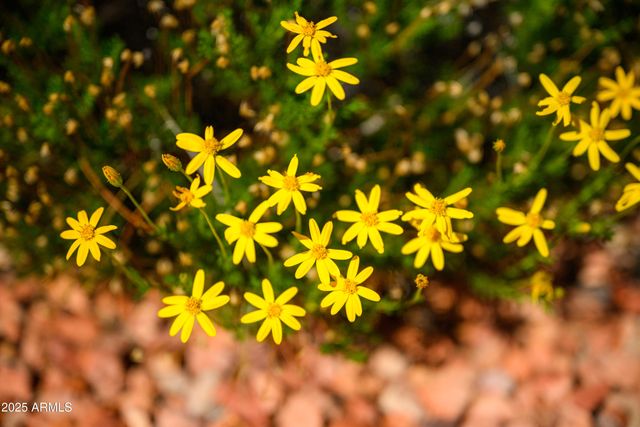 150 FAWN Drive, Sedona, AZ 86336