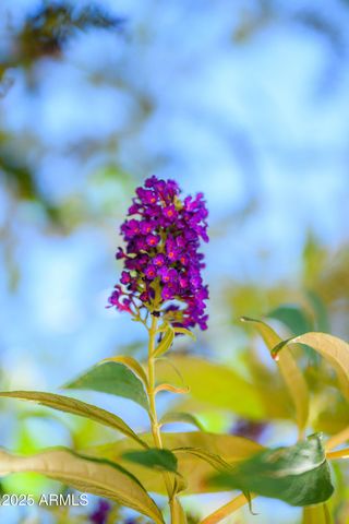 150 FAWN Drive, Sedona, AZ 86336