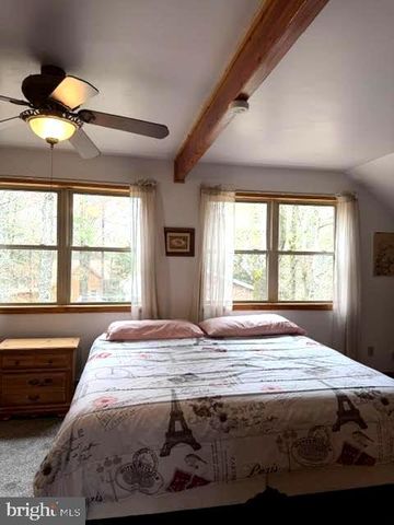 20 BIRCH ST, Lake Harmony, PA 18624