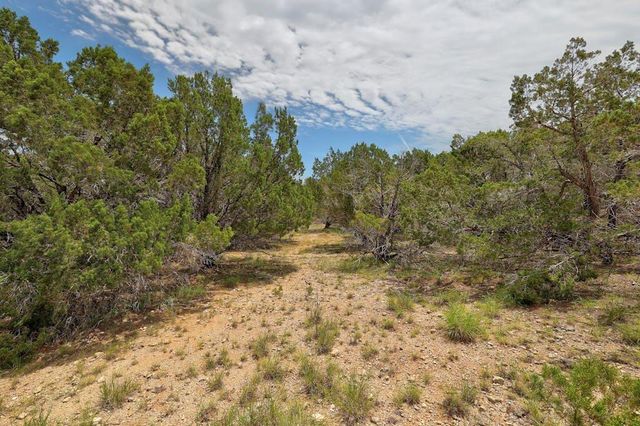 TBD Windy Hills RD, Dripping Springs, TX 78620
