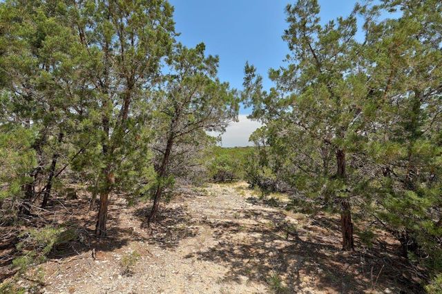 TBD Windy Hills RD, Dripping Springs, TX 78620
