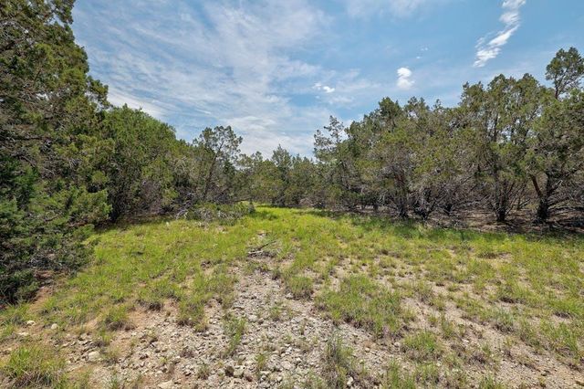 TBD Windy Hills RD, Dripping Springs, TX 78620