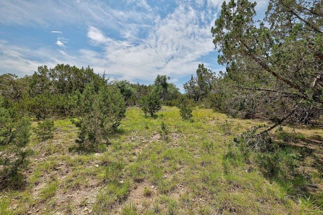 TBD Windy Hills RD, Dripping Springs, TX 78620