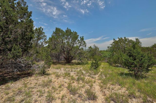 TBD Windy Hills RD, Dripping Springs, TX 78620