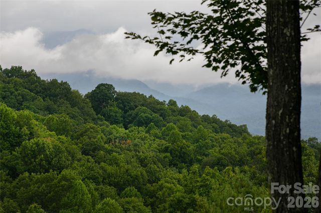 264 Tinequa Drive, Brevard, NC 28712