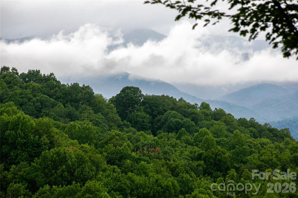 264 Tinequa Drive, Brevard, NC 28712