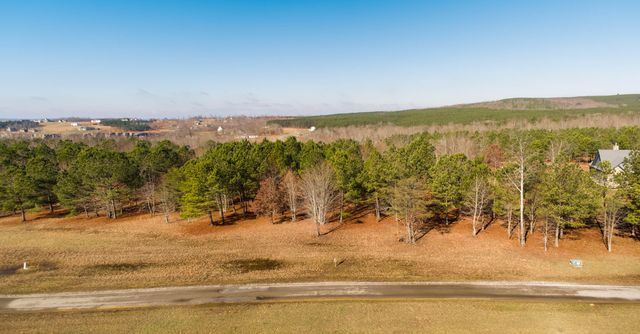 0 River Bluffs Drive Lot 153, Jasper, TN 37347
