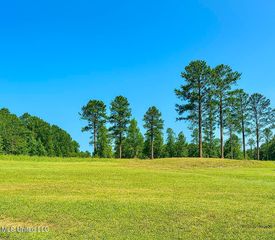 121 Vision Circle, Canton, MS 39046