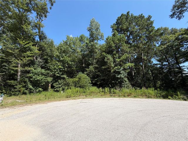 97-22-19 Granite Road, Huntsville, TX 77340