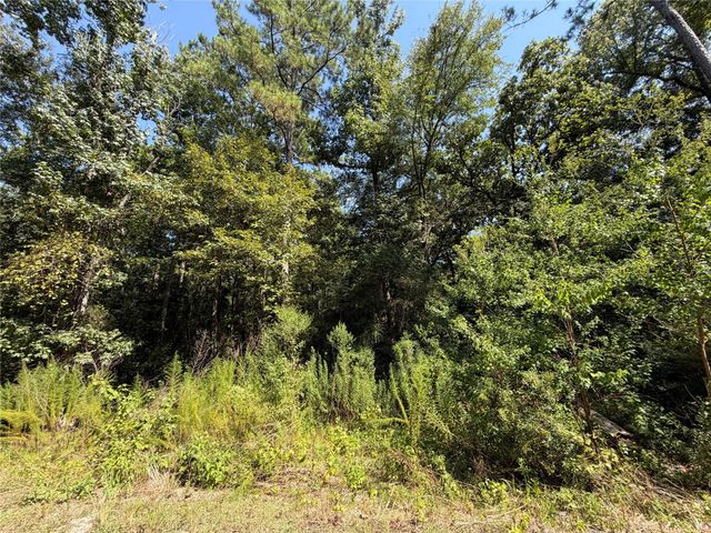 97-22-19 Granite Road, Huntsville, TX 77340