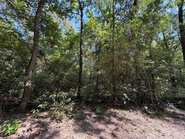 97-22-19 Granite Road, Huntsville, TX 77340