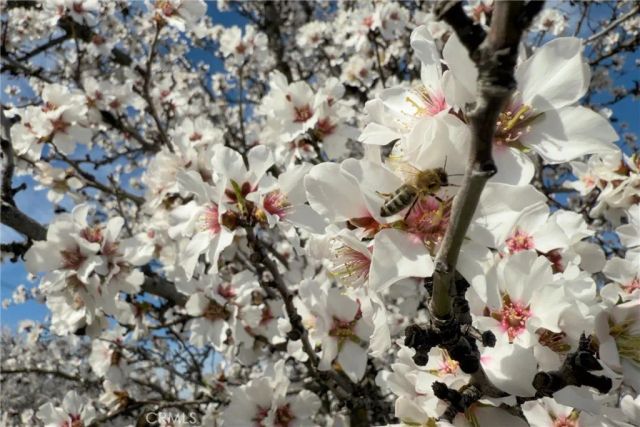 2737 House Avenue, Durham, CA 95938