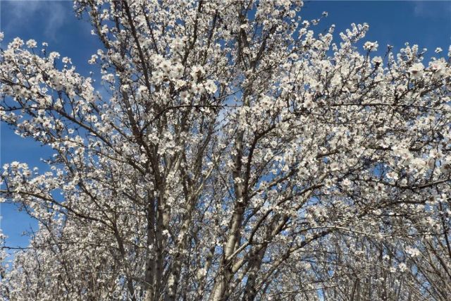 2737 House Avenue, Durham, CA 95938