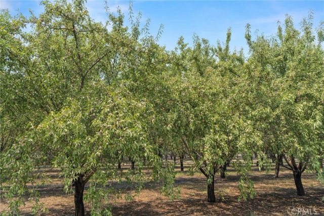 2737 House Avenue, Durham, CA 95938