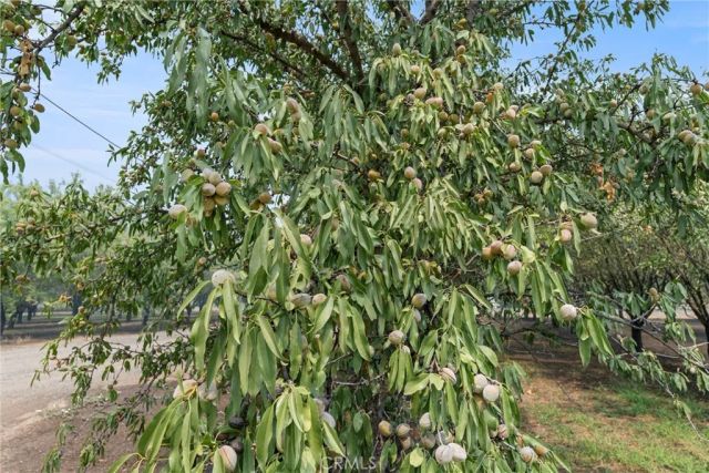 2737 House Avenue, Durham, CA 95938