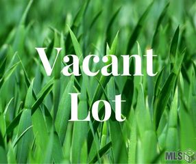 Lot 18-B-2 Veterans Blvd, Denham Springs, LA 70726