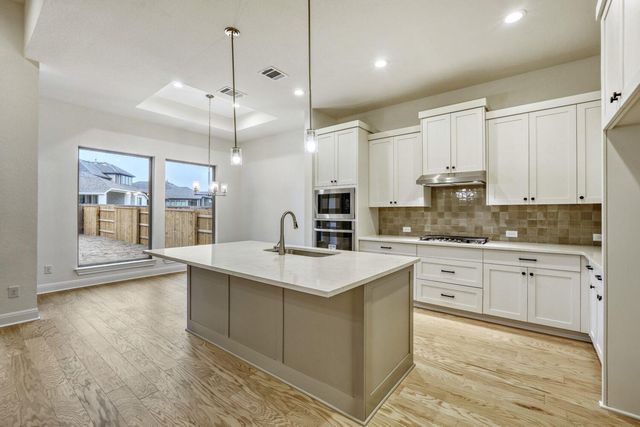 253 Prickly Poppy LOOP, Kyle, TX 78640