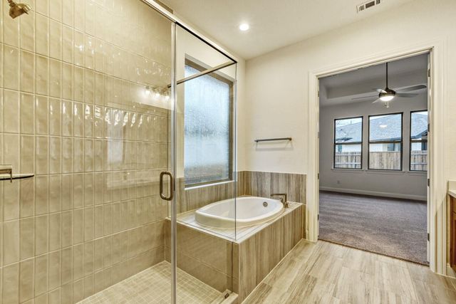 253 Prickly Poppy LOOP, Kyle, TX 78640