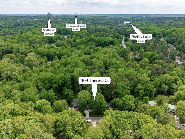 1109 Theresa Court, Raleigh, NC 27615
