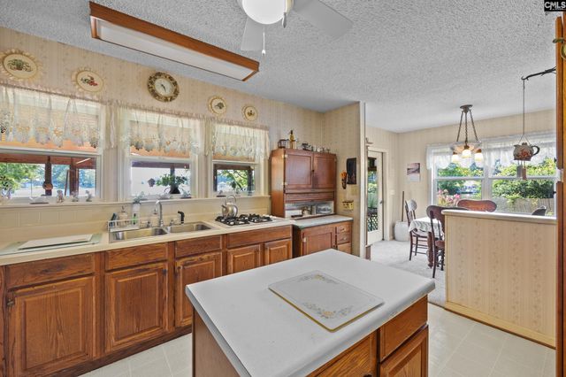 255 Mallard Cove Road, Prosperity, SC 29127