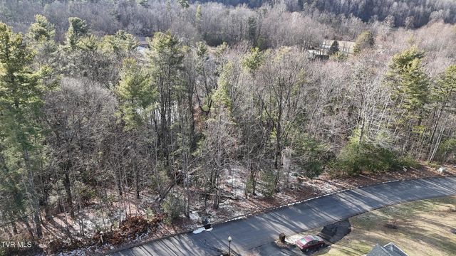 Tr 8 Mountain Laurel Court, Unicoi, TN 37692