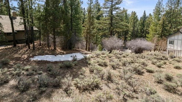293 Catalina, Big Bear Lake, CA 92315