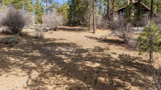 293 Catalina, Big Bear Lake, CA 92315