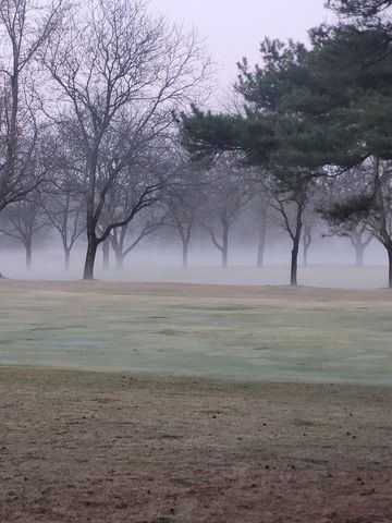 196 Shoreline Road, Lake Barrington, IL 60010