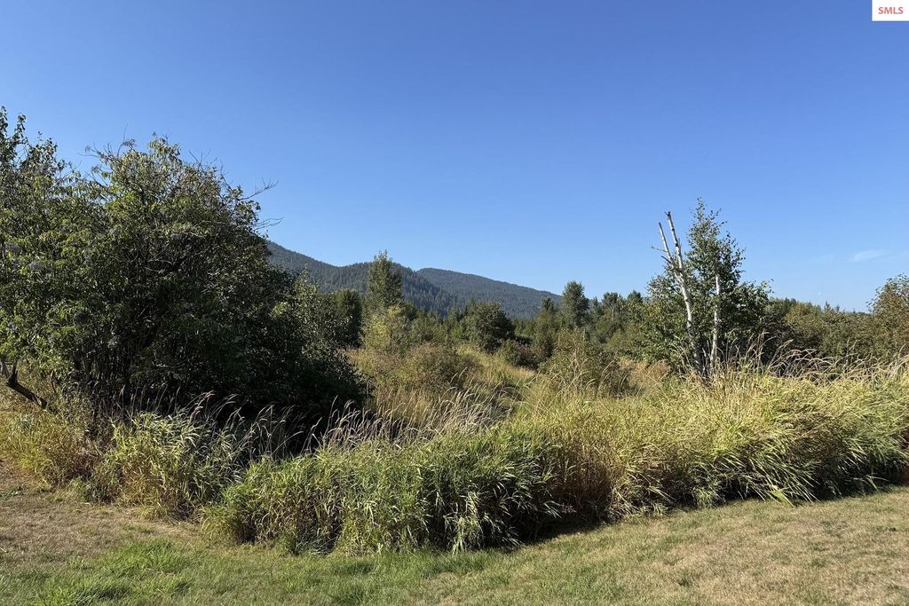 159 Horse Lane, Sandpoint, ID 83864 photo 60