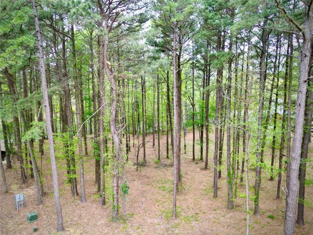 11 Oak Leaf Trail, Lewisville, AR 71845