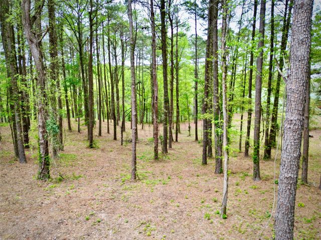 11 Oak Leaf Trail, Lewisville, AR 71845