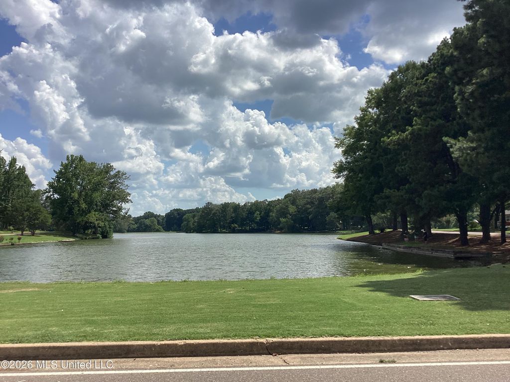 6850 Hickory Crest Drive, Walls, MS 38680 — photo 2