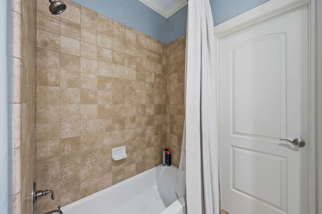 2419 Driscoll Street, Houston, TX 77019