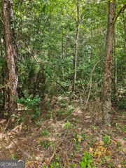 327 Jeffers Road, Buchanan, GA 30113