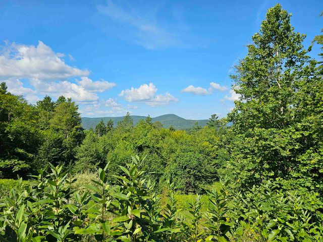 214 Pine Acres Road, Townshend, VT 05353