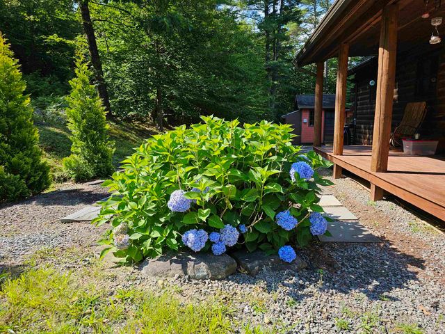 214 Pine Acres Road, Townshend, VT 05353
