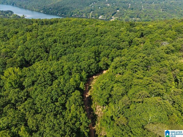 8924 PINE MOUNTAIN ROAD, Pinson, AL 35126