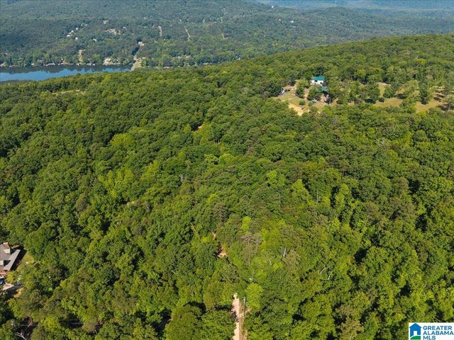 8924 PINE MOUNTAIN ROAD, Pinson, AL 35126