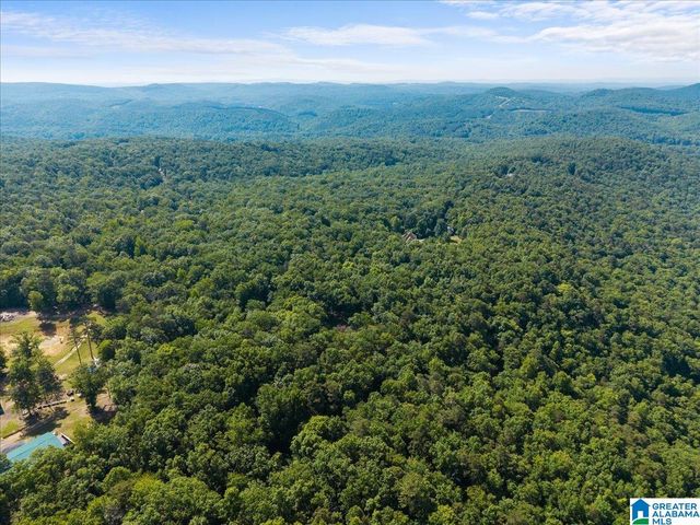 8924 PINE MOUNTAIN ROAD, Pinson, AL 35126
