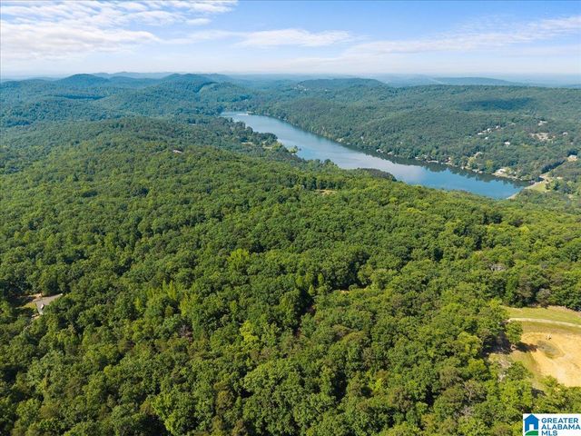 8924 PINE MOUNTAIN ROAD, Pinson, AL 35126