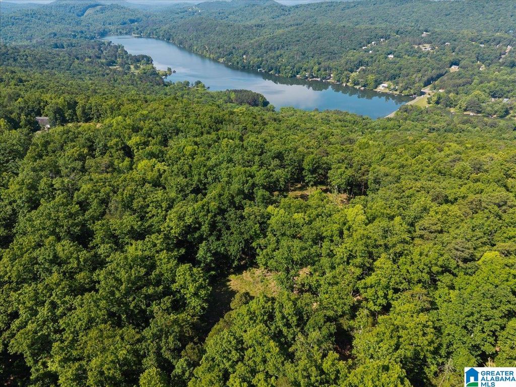 8924 PINE MOUNTAIN ROAD, Pinson, AL 35126