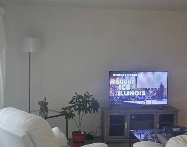 1139 Leavitt Avenue 212, Flossmoor, IL 60422