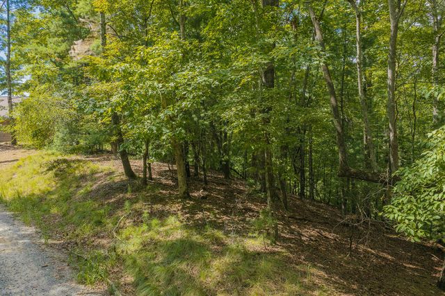 Lot 1999 Garnet Drive, Ellijay, GA 30540