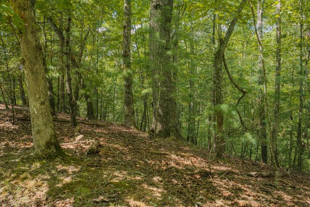 Lot 1999 Garnet Drive, Ellijay, GA 30540