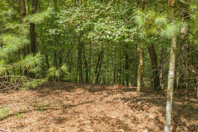 Lot 1999 Garnet Drive, Ellijay, GA 30540