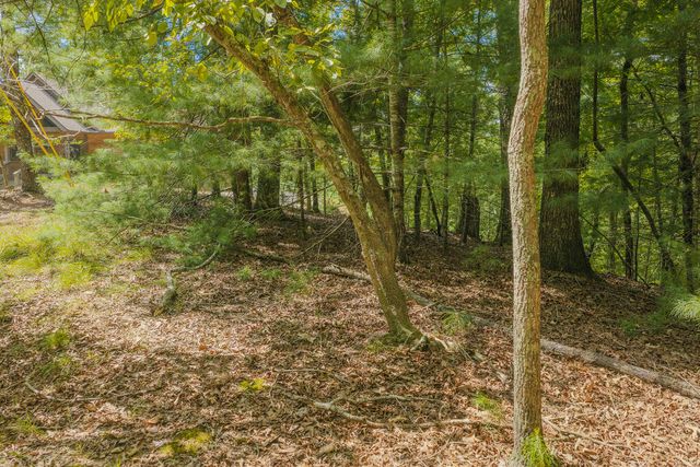 Lot 1999 Garnet Drive, Ellijay, GA 30540