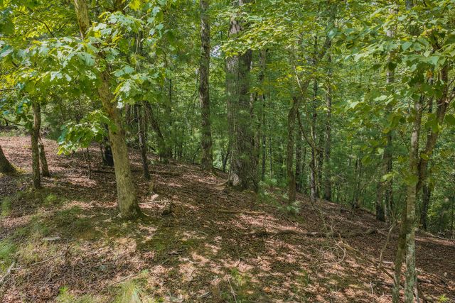 Lot 1999 Garnet Drive, Ellijay, GA 30540