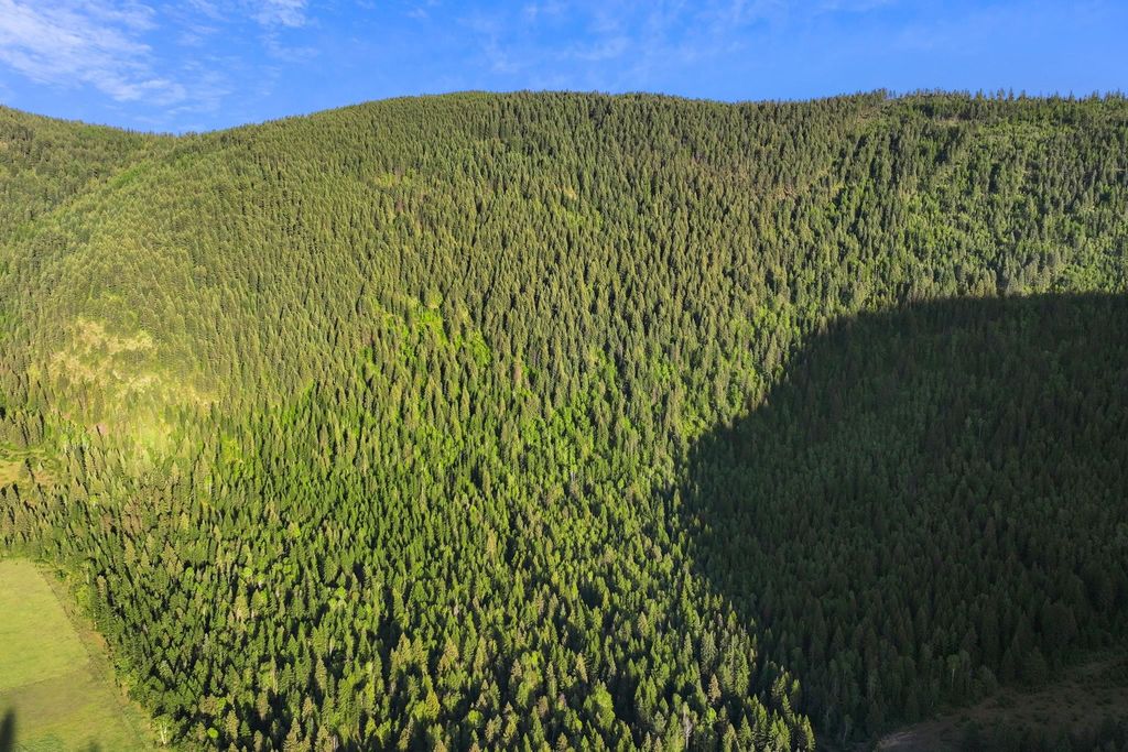 4345 Wilcox Rd, Northport, WA 99157 photo 18