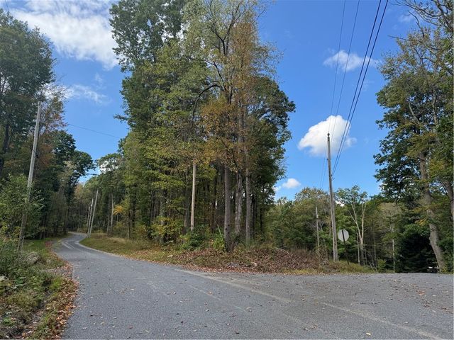 0 Old Hickory Flats Road, Jefferson Twp, PA 15501