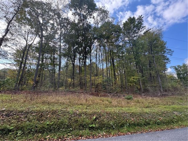 0 Old Hickory Flats Road, Jefferson Twp, PA 15501